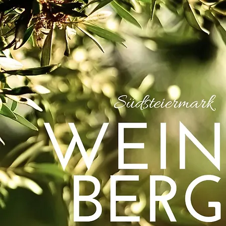 Daheim An Der Lage アパート Obegg